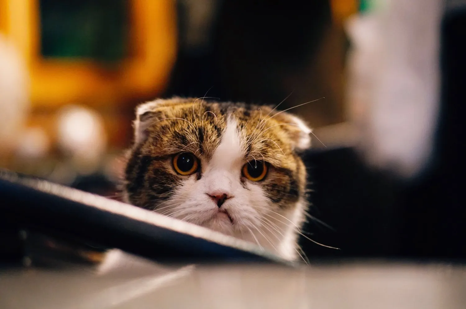 Don't Hire These 2 Types of Difficult Employees