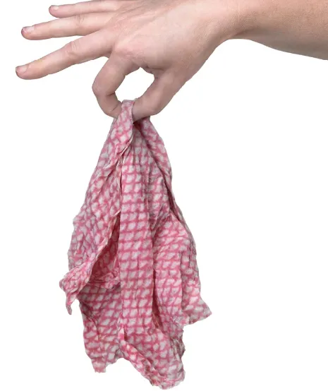 dishrag.png